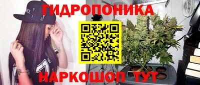 стафф Конаково