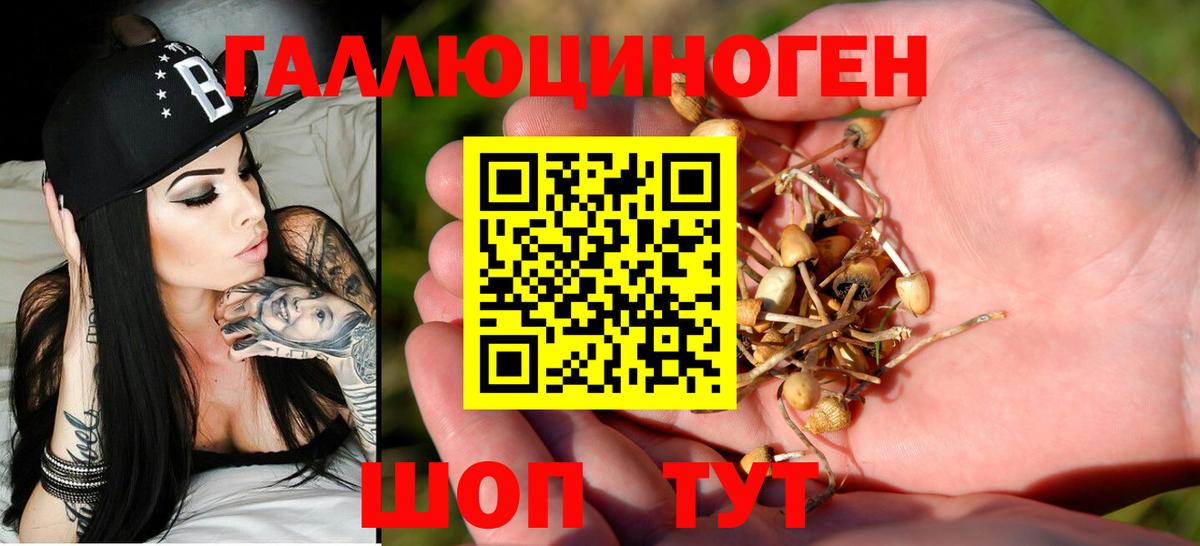 Конаково  Псилоцибиновые грибы мицелий  Вход с VPN  Псилоцибиновые грибы GOLDEN TEACHER 